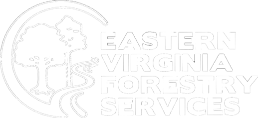 Eastern Virginia Forestry Services