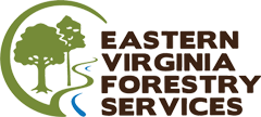 Eastern Virginia Forestry Services